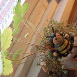 cafe zakka  hinatabocco - はちさん♪