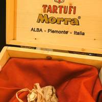 三田牛竈炭火焼 ウェスタ - 