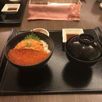 函館うに むらかみ 日本生命札幌ビル店 -  函館うに むらかみ 日本生命札幌ビル店 -