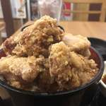 Karaage Hitosuji - 