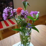 カフェ よくなるよくなる - 