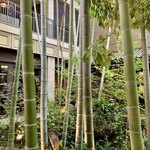 FORTUNE GARDEN KYOTO - 