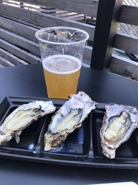 犬山福助1号館 犬山 バー 食べログ 犬山福助1号館 犬山 バー 食べログ