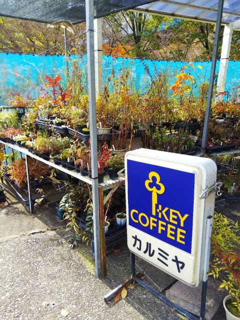 カルミヤ - 新白河（カフェ）の写真