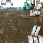 勝浦漁港 にぎわい市場 - 