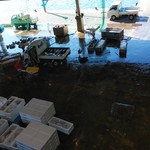 勝浦漁港 にぎわい市場 - 