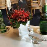 トゥールダルジャン - ボトルグリーン エルダーフラワーとペリエ