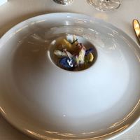 トゥールダルジャン 東京 - 前菜「北寄貝のマリニエール カリフラワーと根菜のサラダ仕立て」