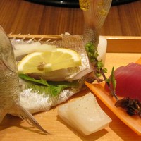 日本料理 瀬戸内 - 鯛の姿造り