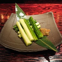鳥ばか一代 - 
