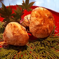 あざみ野うかい亭 - 
