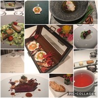 ジョンティ アッシュ -  ジョンティ アッシュ -