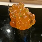 鮨 いぬかい - 生いくら