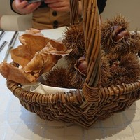 クイントカント - 