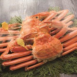 旬の越前ガニを堪能。コース/単品料理をご用意。