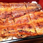 うなぎ処　岡 - うな重アップ