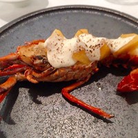 クッチーナ イタリアーナ ガッルーラ - 伊勢海老 太秋柿とリコッタチーズのサルサ