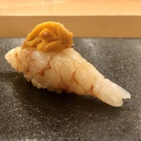 夷川 鮨 すずか - 