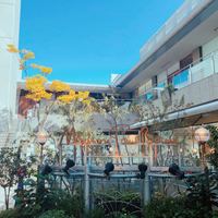 メゾン ポール・ボキューズ - 