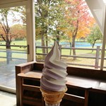 羊ヶ丘ソフト - 料理写真:ラベンダーミックス　360円