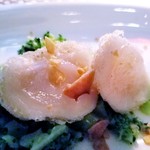 ラ・ソラシド フードリレーションレストラン - ◇「佐呂間産"ほたて貝"のフリットとアンチョビで和えたブロッコリー」