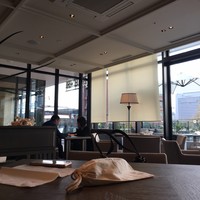 COLONIAL BEACH 横浜ハンマーヘッド - 
