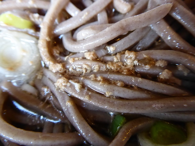 いろは 平野店 - 村山市その他（そば）の写真