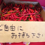 赤湯ラーメン 龍上海 - 