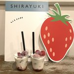 SHIRAYUKI - 