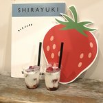 SHIRAYUKI - 