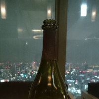 シグネチャー - 