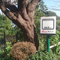鎌倉山 本店 - 