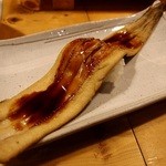 Sushi Izakaya Yataizushi - 特大一匹穴子