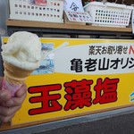 亀老山売店 - 玉藻塩アイス