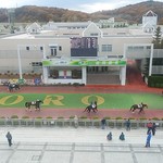 おおにし - 三階からパドック