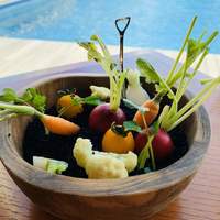 The lounge on the water - 