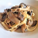 トラットリア イル ピスタッキオ - 茸のオイルソース　リングイネ