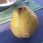 あしぇっと八ヶ岳 - 西洋カリン