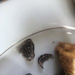 あしぇっと八ヶ岳 - 奥様がとったトリュフ