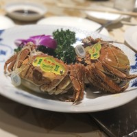 老香港酒家京都 - 