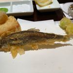 京都祇園 天ぷら圓堂 - 