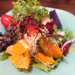 ユニヴェール エス - コンビネーションサラダ 2019.11月