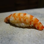 鮨 さいとう - 車海老