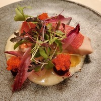 スプレンディード -  スプレンディード -