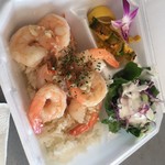 CAMARON SHRIMP WAGON - 