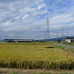 ビストロ セレニテ - 