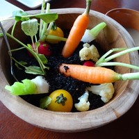 The lounge on the water - 