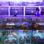 Welcome Seafood Restaurant - 