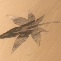 鮨 銀座 おのでら - 