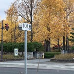 らー麺　Do・Ni・Bo - 県総合運動公園の紅葉
